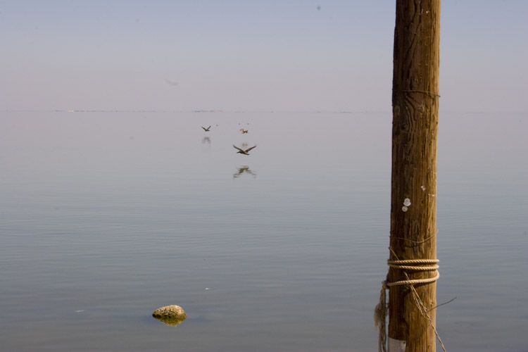 saltonsea20D_100